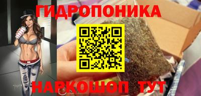 гидропоника Новодвинск