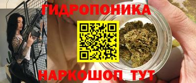 гидропоника Новодвинск
