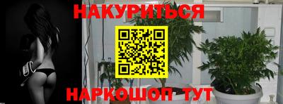 гидропоника Новодвинск