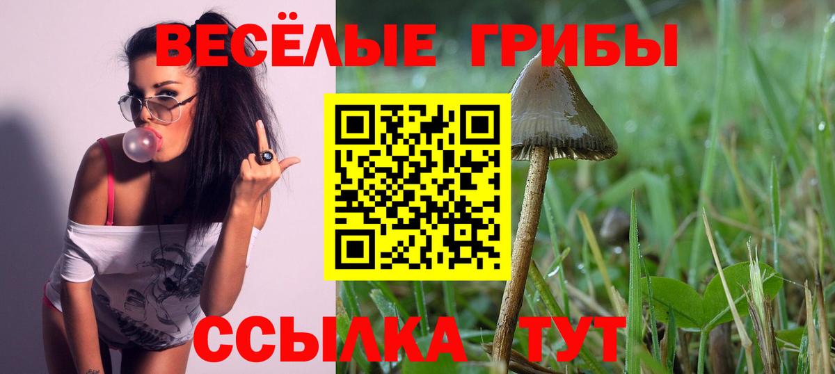 Псилоцибиновые грибы мухоморы  Вход с VPN  Псилоцибиновые грибы Cubensis  Печора 